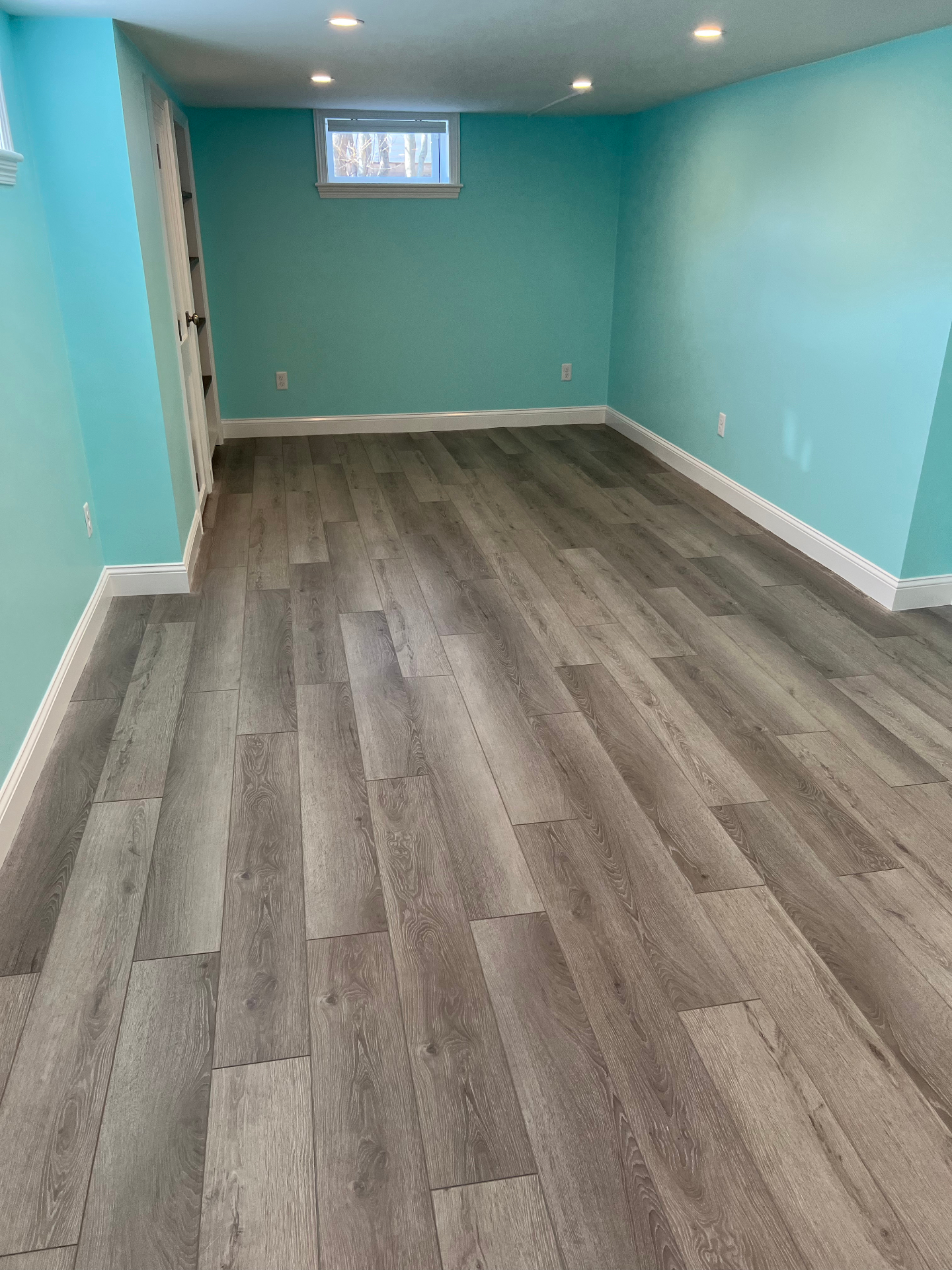Finished Basement Living Space