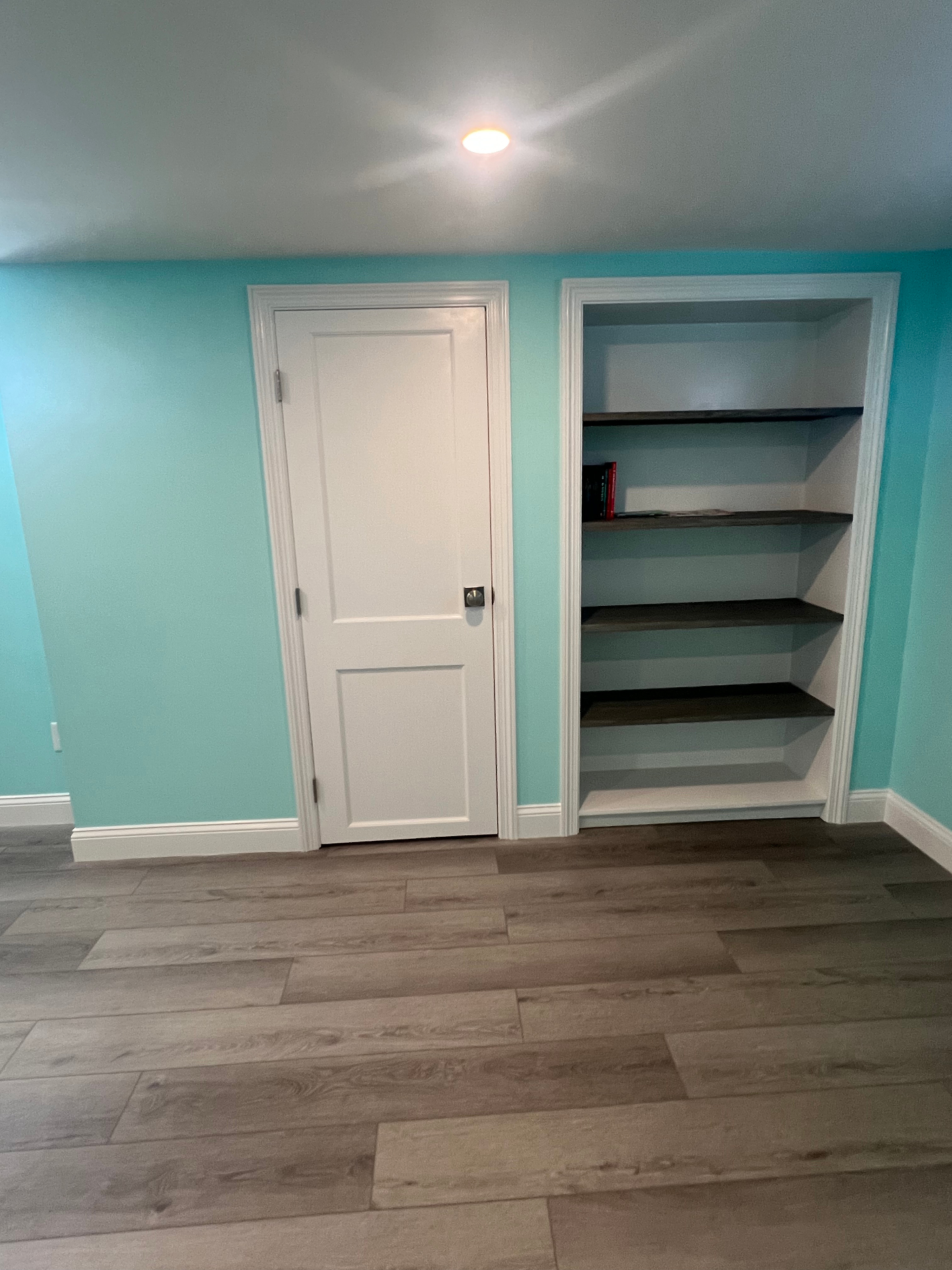 Basement Storage with Shelving
